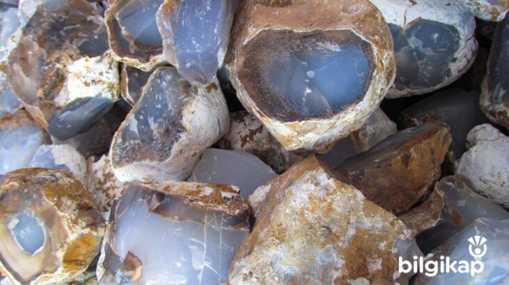 Dedemiz Sapanla Atardı Biz Satıyoruz!  Genel Kültür